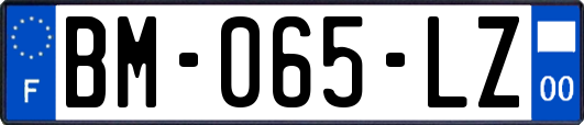 BM-065-LZ