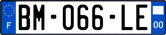 BM-066-LE