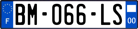 BM-066-LS