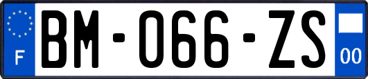 BM-066-ZS