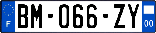 BM-066-ZY