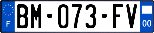 BM-073-FV