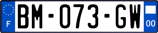 BM-073-GW