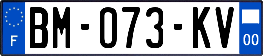 BM-073-KV