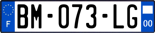 BM-073-LG