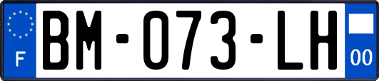 BM-073-LH