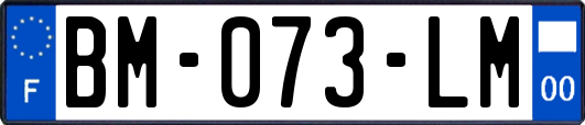 BM-073-LM