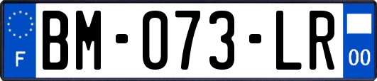 BM-073-LR