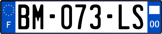 BM-073-LS