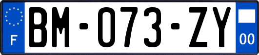 BM-073-ZY