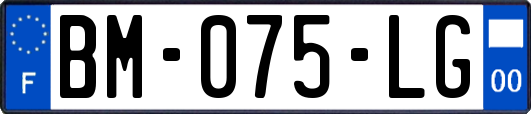 BM-075-LG
