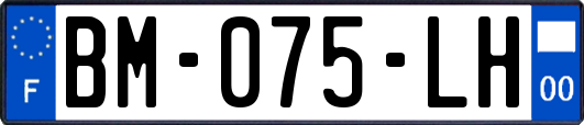 BM-075-LH