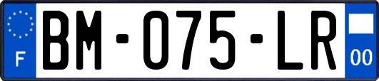 BM-075-LR