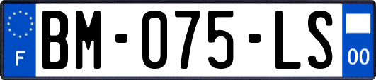 BM-075-LS