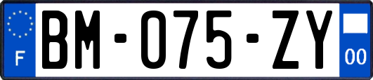 BM-075-ZY