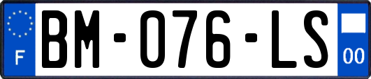 BM-076-LS