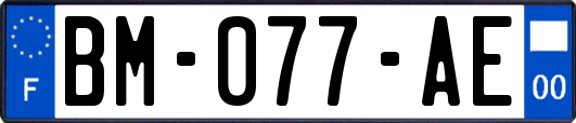 BM-077-AE