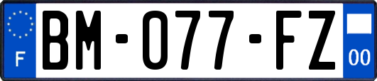 BM-077-FZ