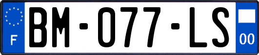 BM-077-LS