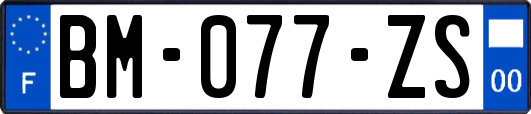 BM-077-ZS