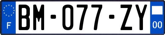 BM-077-ZY