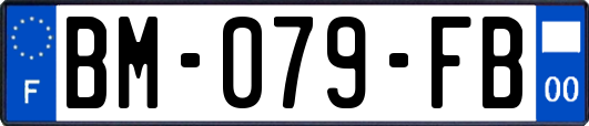 BM-079-FB