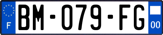 BM-079-FG