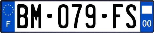 BM-079-FS