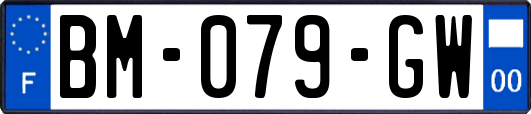 BM-079-GW