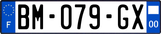 BM-079-GX