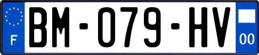 BM-079-HV
