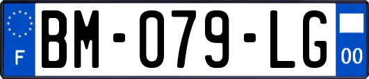 BM-079-LG