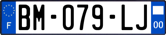 BM-079-LJ