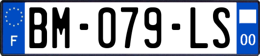 BM-079-LS