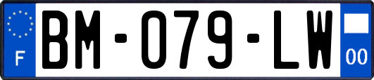 BM-079-LW