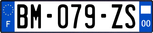 BM-079-ZS