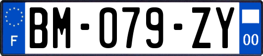 BM-079-ZY