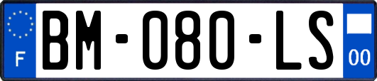 BM-080-LS