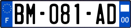 BM-081-AD