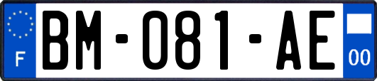 BM-081-AE