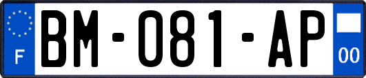 BM-081-AP