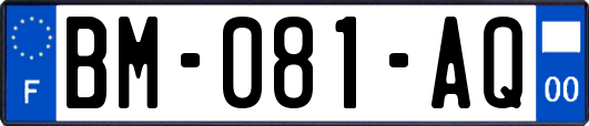 BM-081-AQ