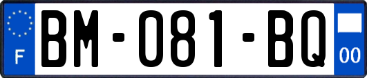 BM-081-BQ