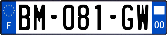 BM-081-GW