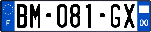 BM-081-GX