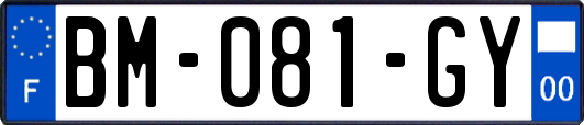 BM-081-GY