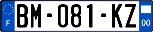 BM-081-KZ