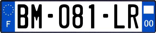 BM-081-LR