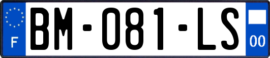 BM-081-LS