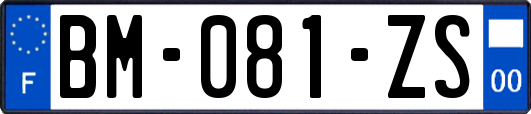 BM-081-ZS